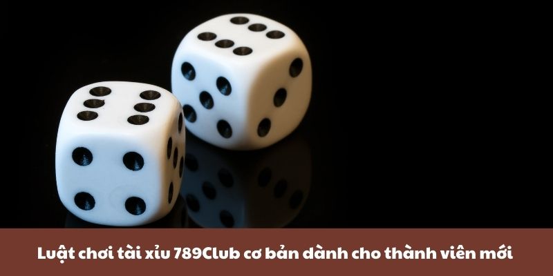 Luật chơi tài xỉu 789Club cơ bản dành cho thành viên mới 