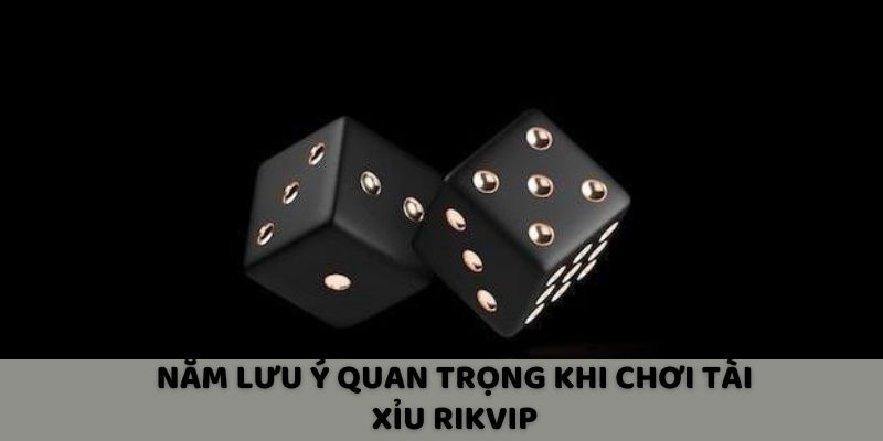 Năm lưu ý quan trọng khi chơi tài xỉu Rikvip