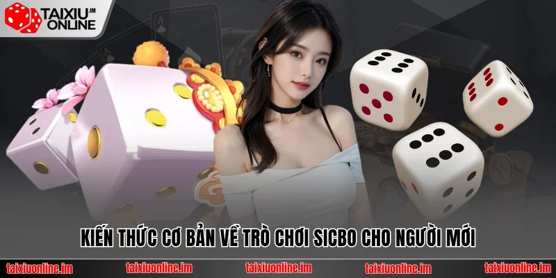 Trang chủ 27 Kiến thức cơ bản về Sicbo online cho người mới