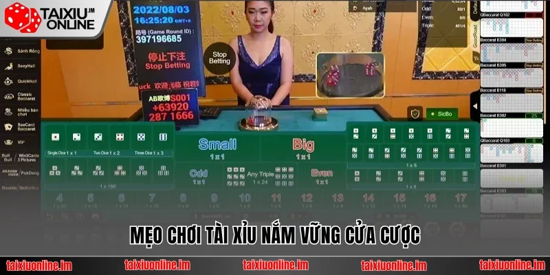 Top 5 Cách Chơi Tài Xỉu Luôn Thắng, Lật Ngược Tình Thế 2 Mẹo chơi Tài Xỉu nắm vững cửa cược