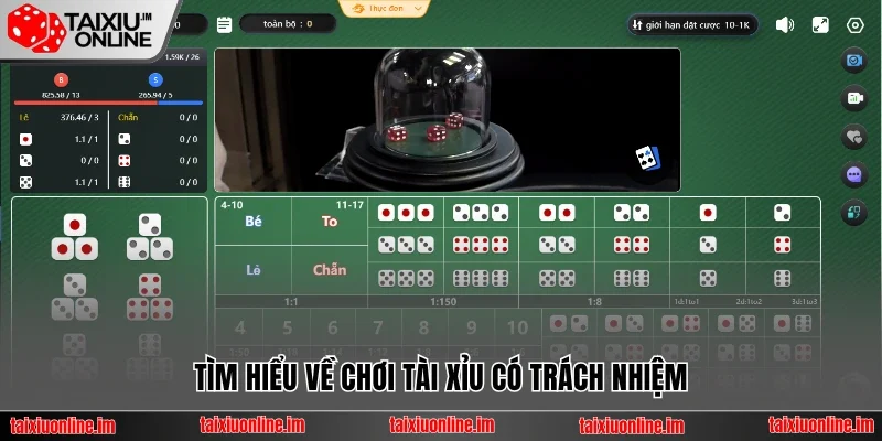 Tìm hiểu về chơi tài xỉu có trách nhiệm