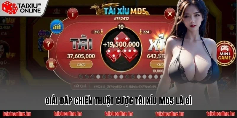 Giải đáp chiến thuật cược Tài Xỉu MD5 là gì